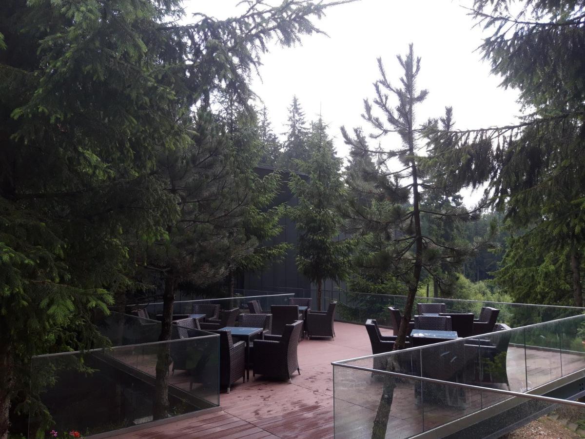 Complex Hotelier Cota O Mie Sinaia Buitenkant foto